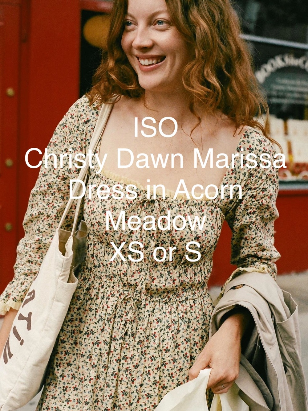 ISO Christy Dawn Marissa Dress XS or S